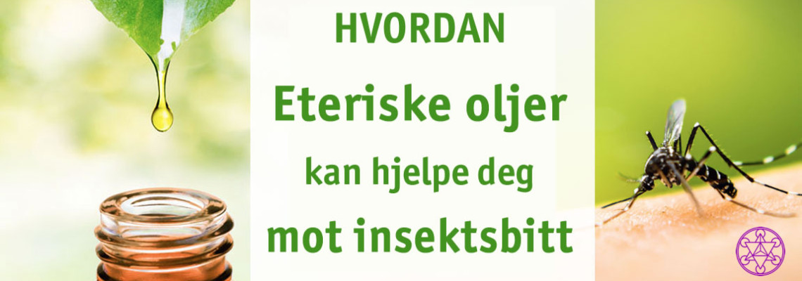 Bruk av eteriske oljer på insektstikk
