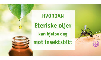 Bruk av eteriske oljer på insektstikk