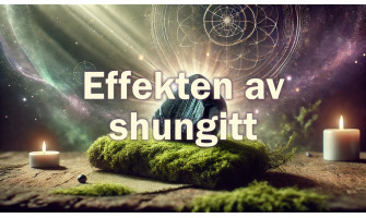 Artikkel om effekten av shungitt