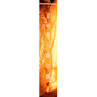 Solfanger - Chakra