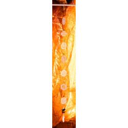 Solfanger - Chakra