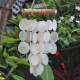 Pearl - Driftwood - Cross - Vindspill