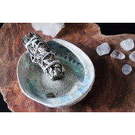 Abalone skjell - L 12-16 cm - Røkelsesholder