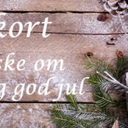 Gavekort Jul - 200,-