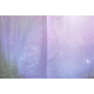 Spirit of the dragonfly - Kort